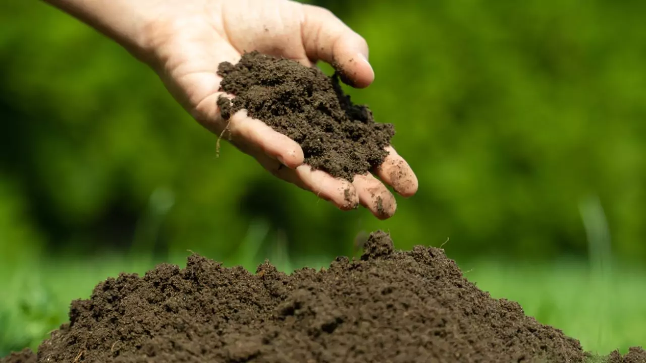 Do You Need To Flush Organic Soil