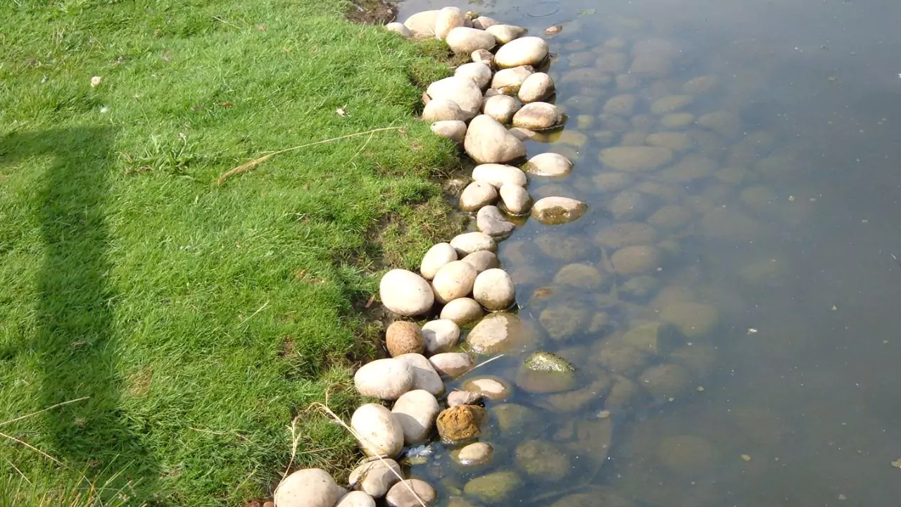 9 Reasons Why Your Pond Could Be Losing Water 2 Pond edges