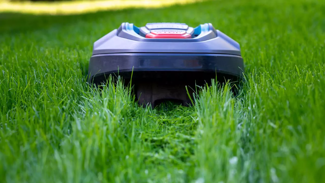 Do Robotic Mowers Have Issues With Dog Fences? 3 Run robotic mower at the right time