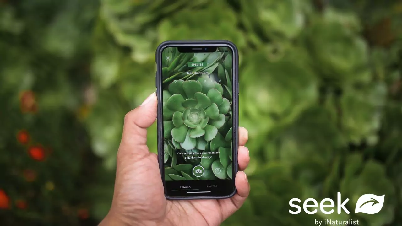Seek iNaturalist