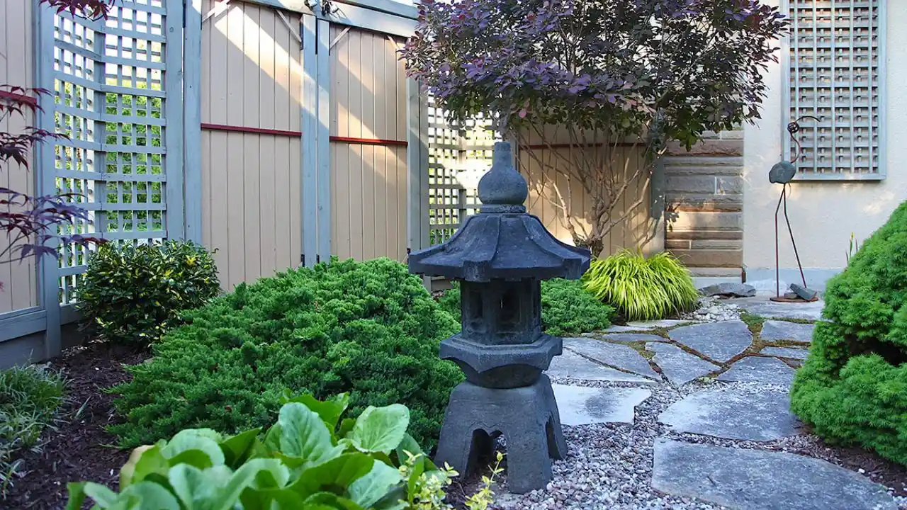 Small Japanese garden