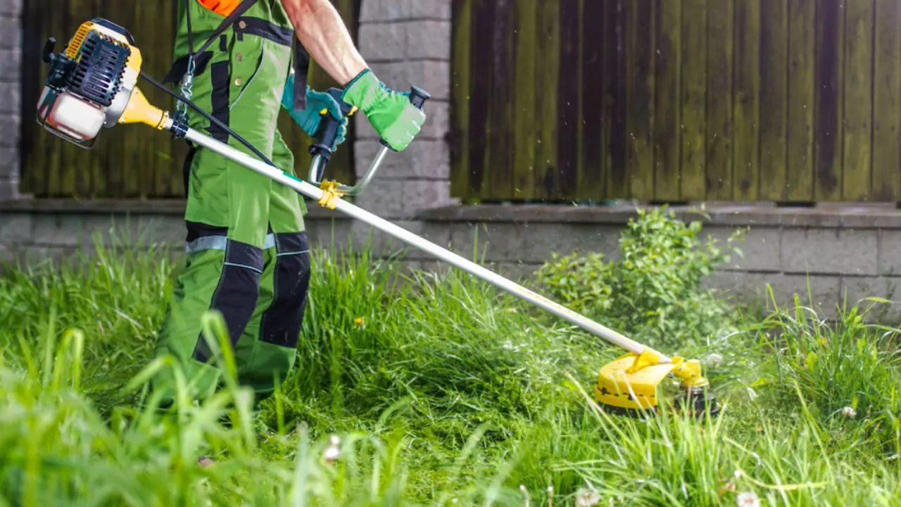 20 Gardening Tools Every Gardener Must Have 4 String Trimmer