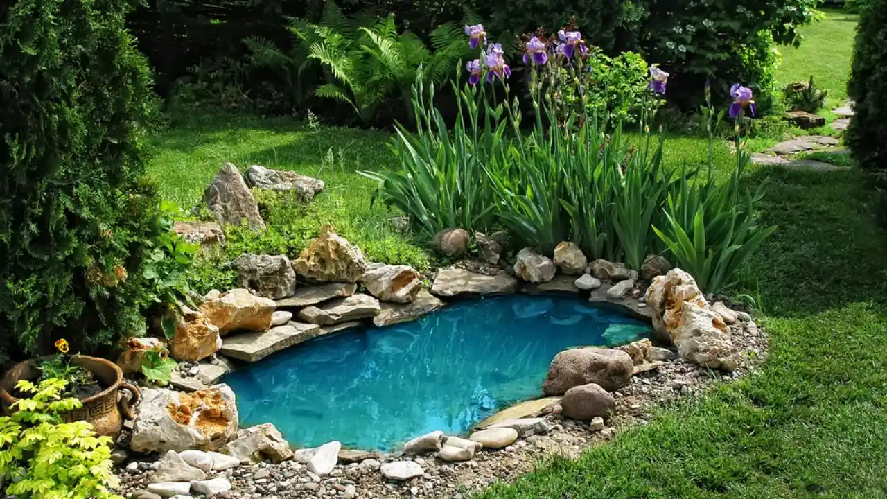 9 Reasons Why Your Pond Could Be Losing Water