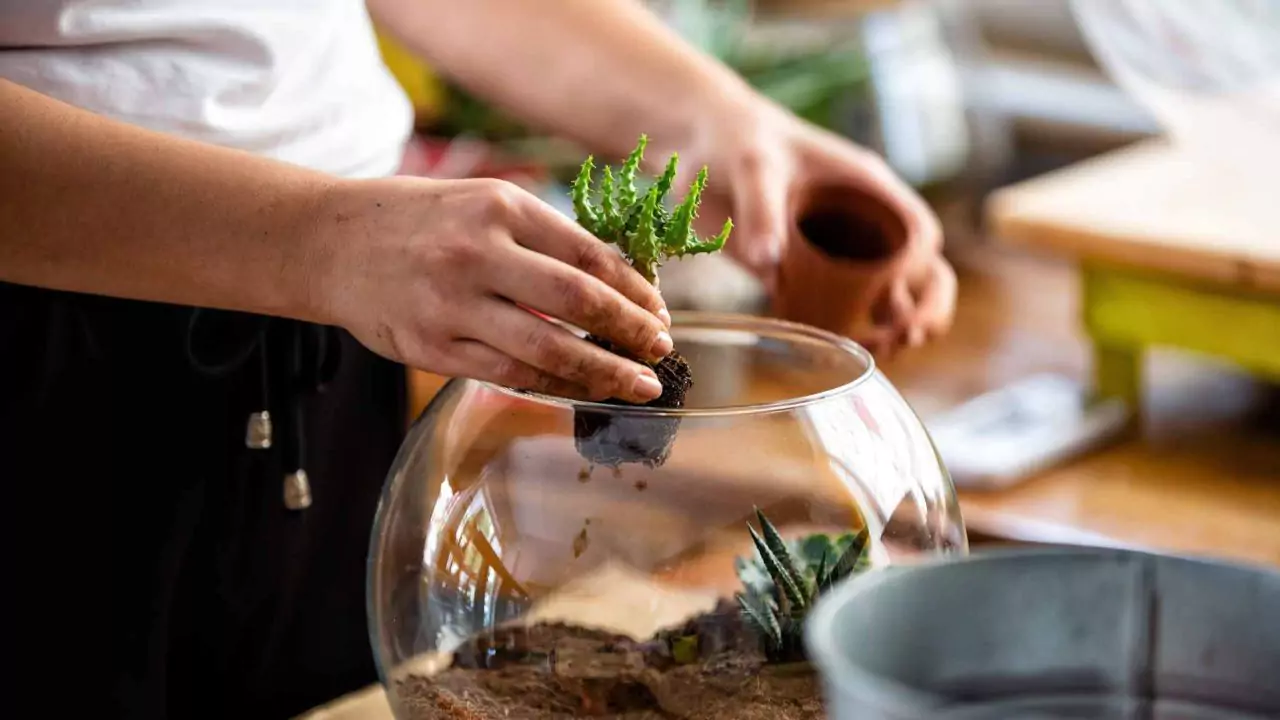 How to Prune Terrarium Plants