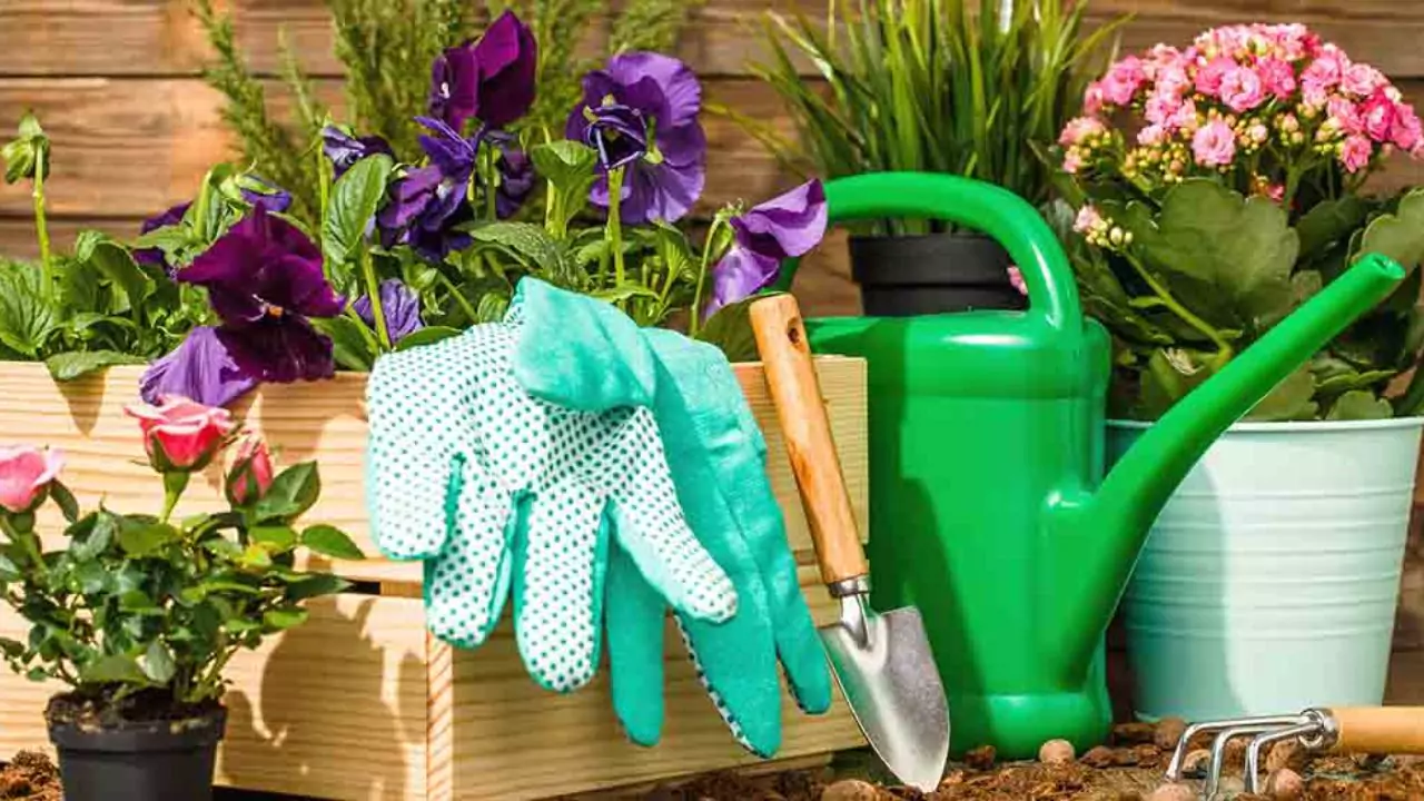 20 Gardening Tools Every Gardener Must Have 1 Tools for gardening