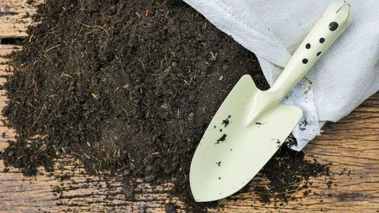 Topsoil Vs Compost: Which One Is Better? 1 Topsoil for gardeners