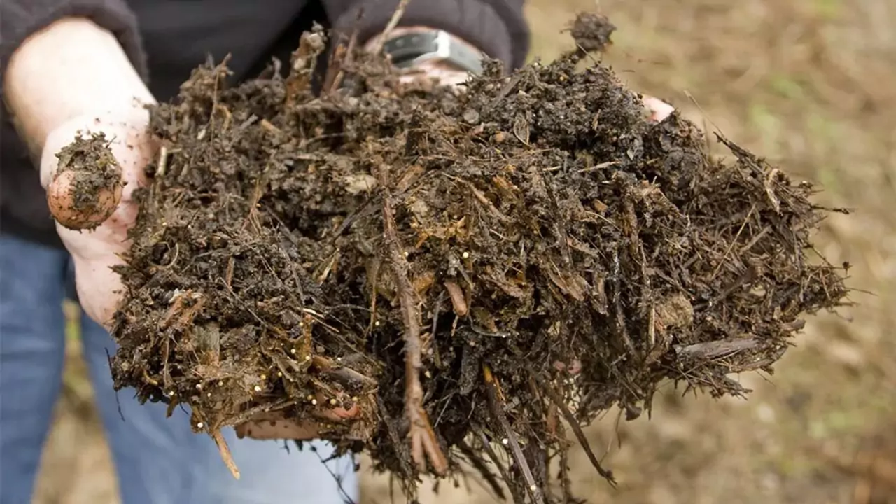 Using Compost Material 1