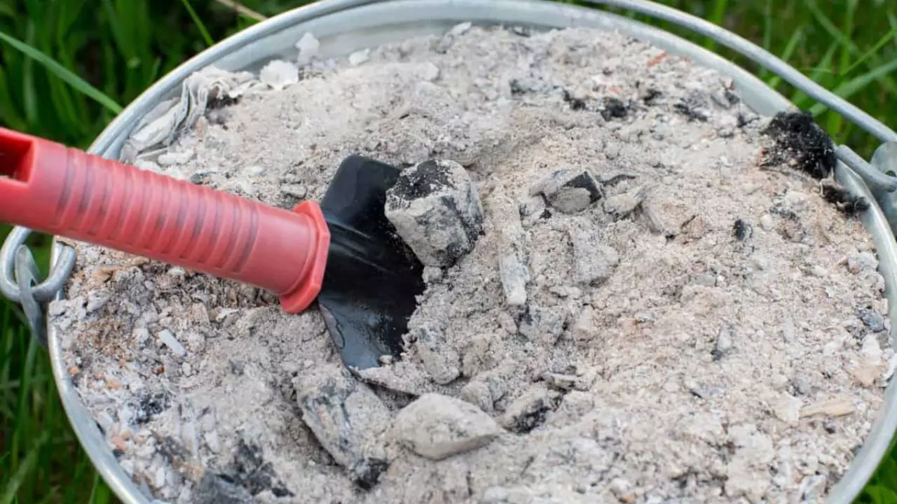 Using charcoal ash for plants