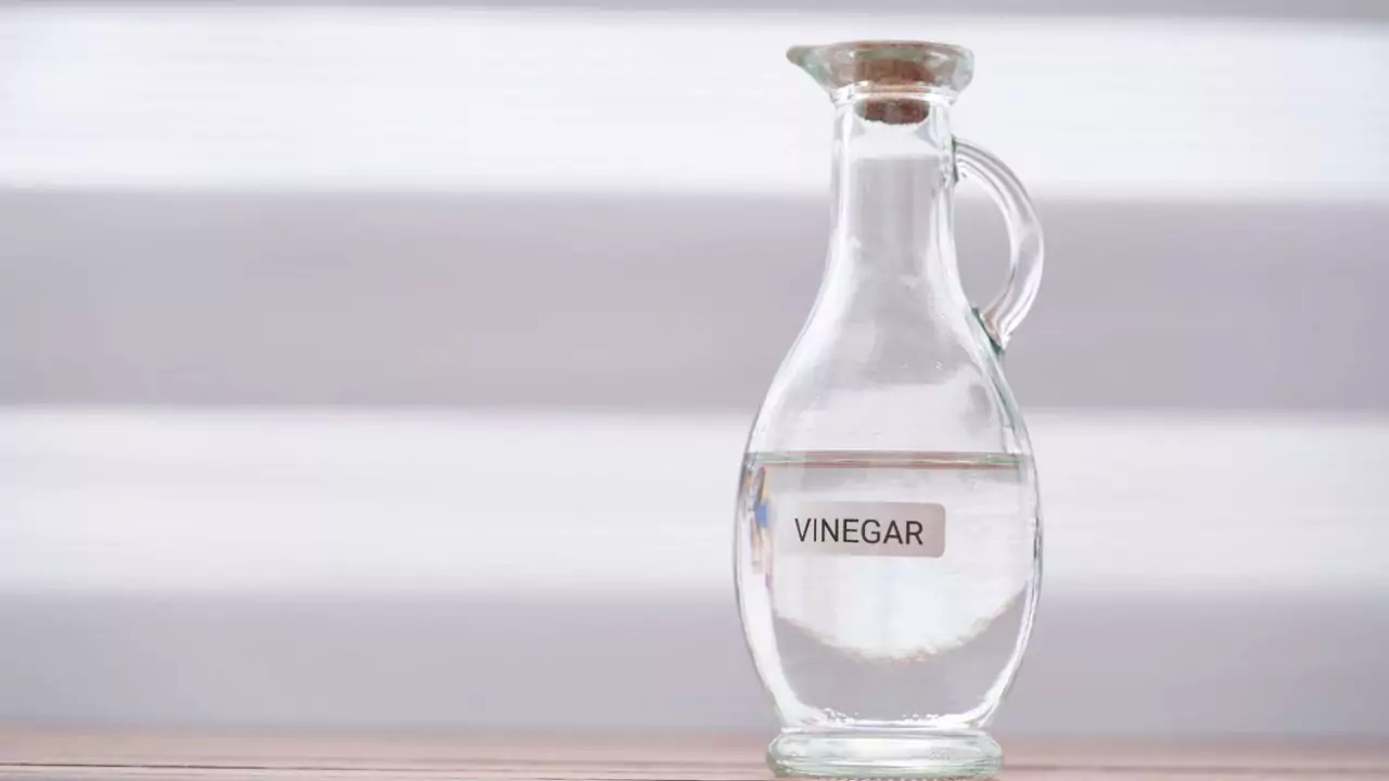 How to Quickly Kill and Remove Ivy From Trees and Walls 5 Vinegar 1