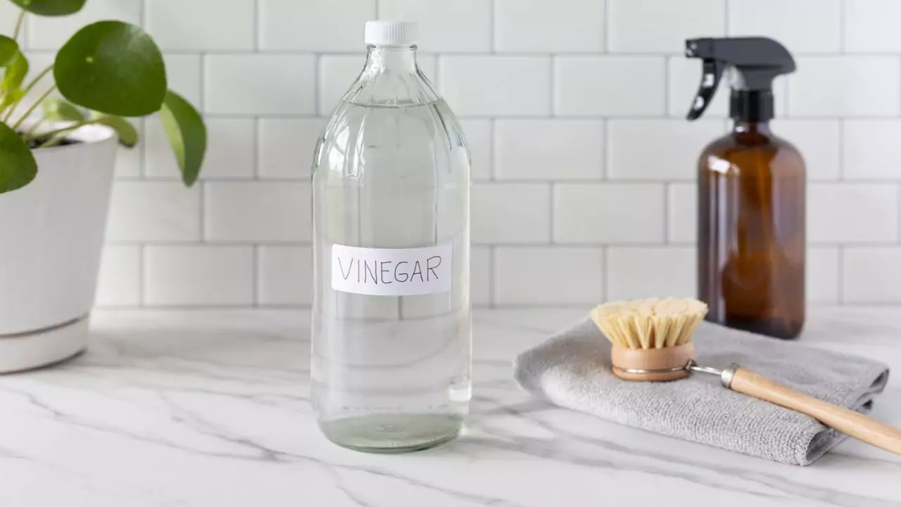 Vinegar paste