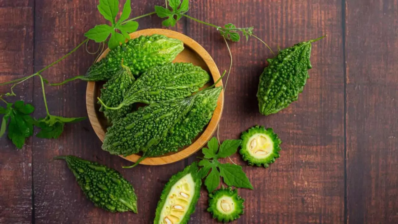 Growers Guide for Ampalaya 3 Watering tips ampalaya