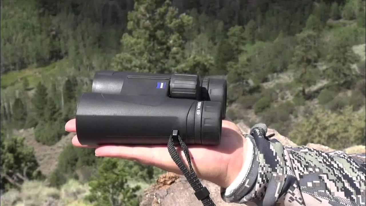 Best Backyard Bird Watching Forum Online