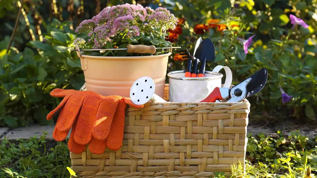 20 Gardening Tools Every Gardener Must Have 5 What garden tools are the best for weeding 1
