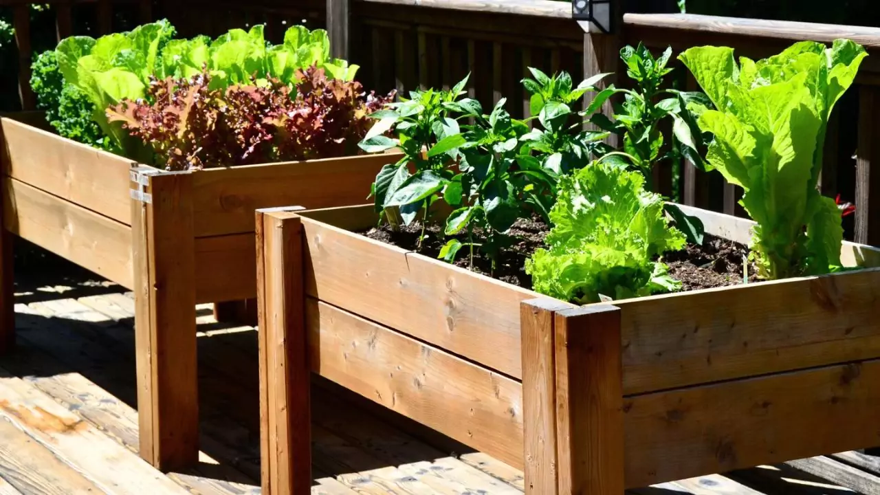 Wooden planters with steel edges is another great alternative