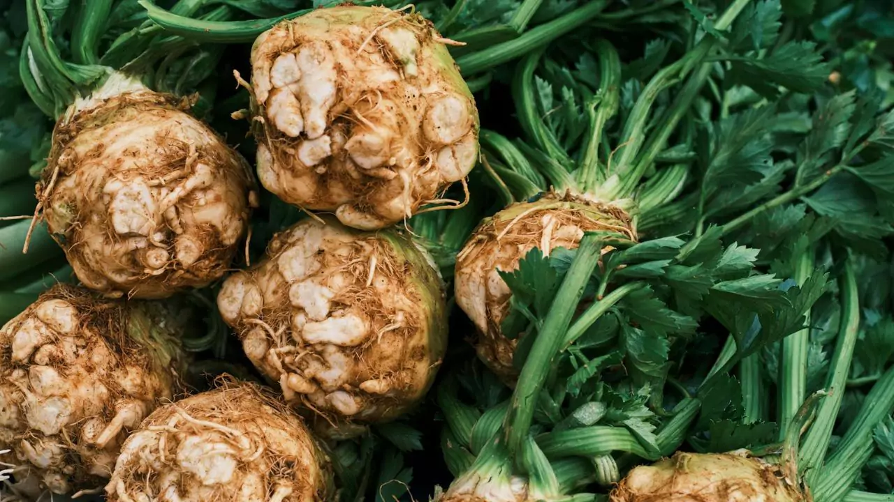 celeriac 1