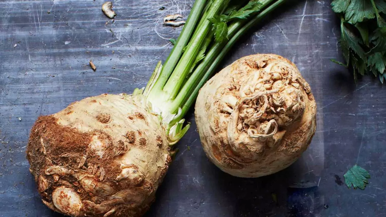 How to Grow Celeriac from Cuttings