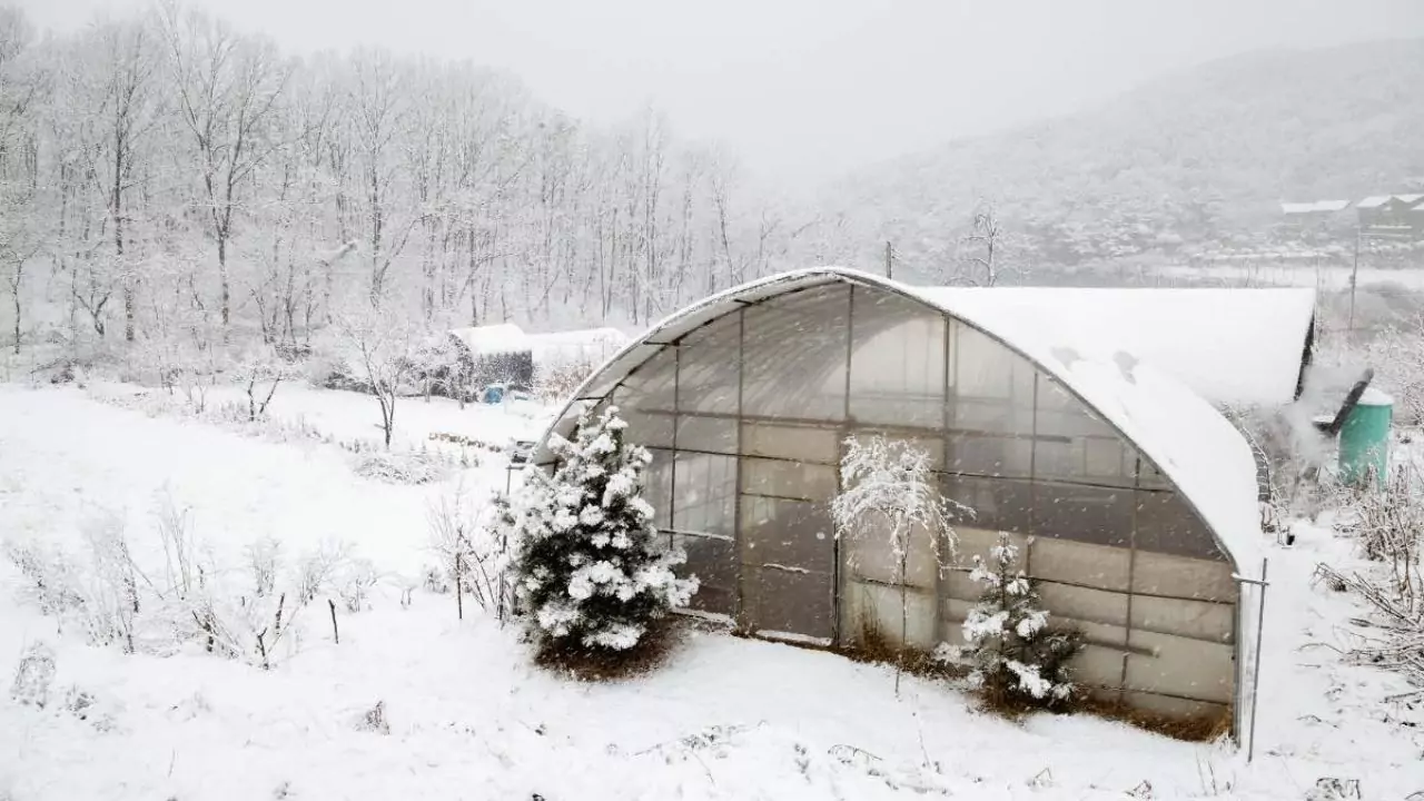 How To Heat Greenhouse In Winter
