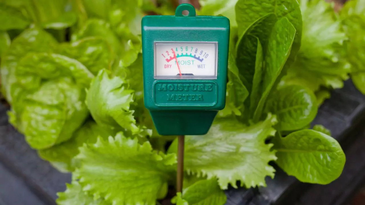 Soil Moisture Sensor – Complete Users Guide 4 measure soil moisture 1