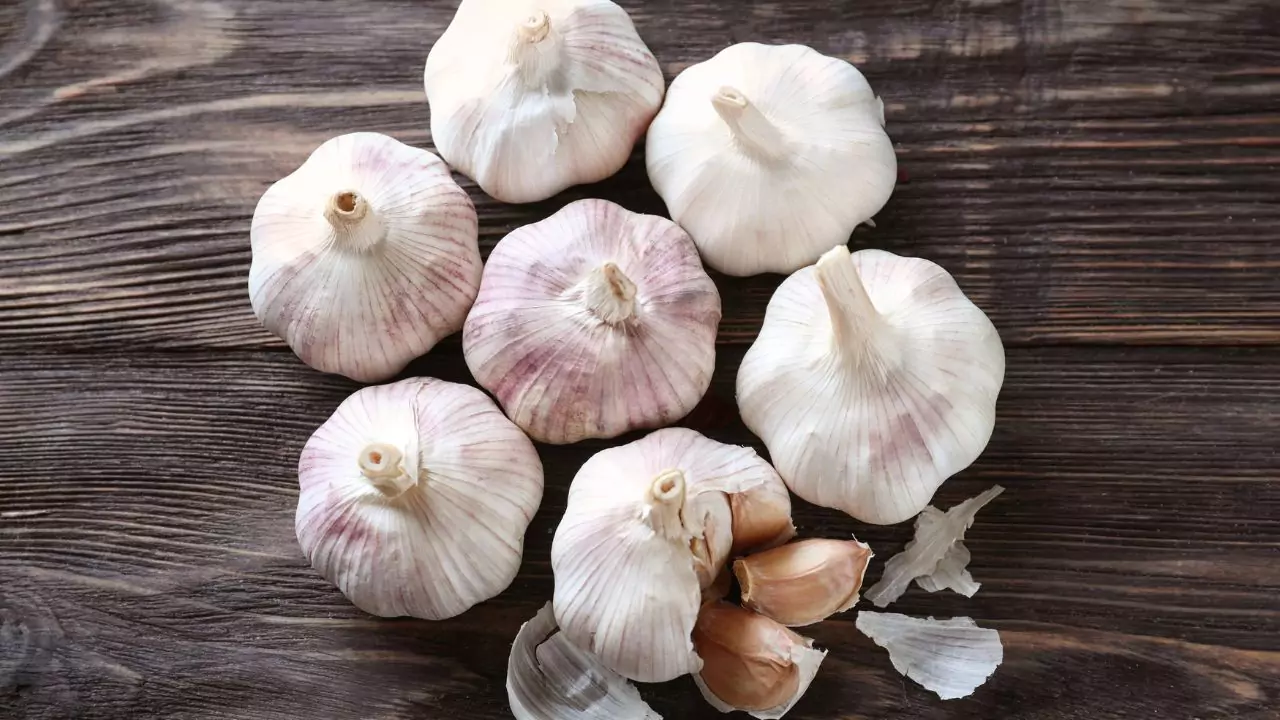Can You Plant Organic Garlic From The Store