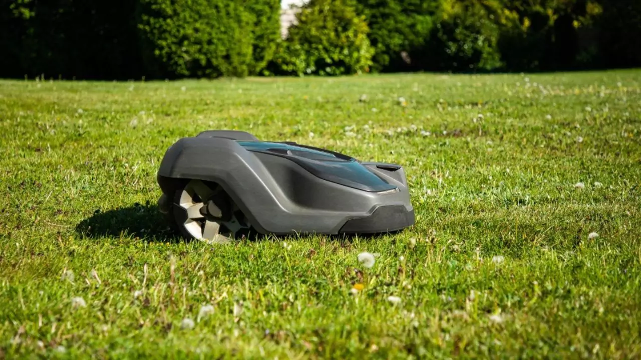 Do Robotic Mowers Have Issues With Dog Fences? 2 robotic mower 2