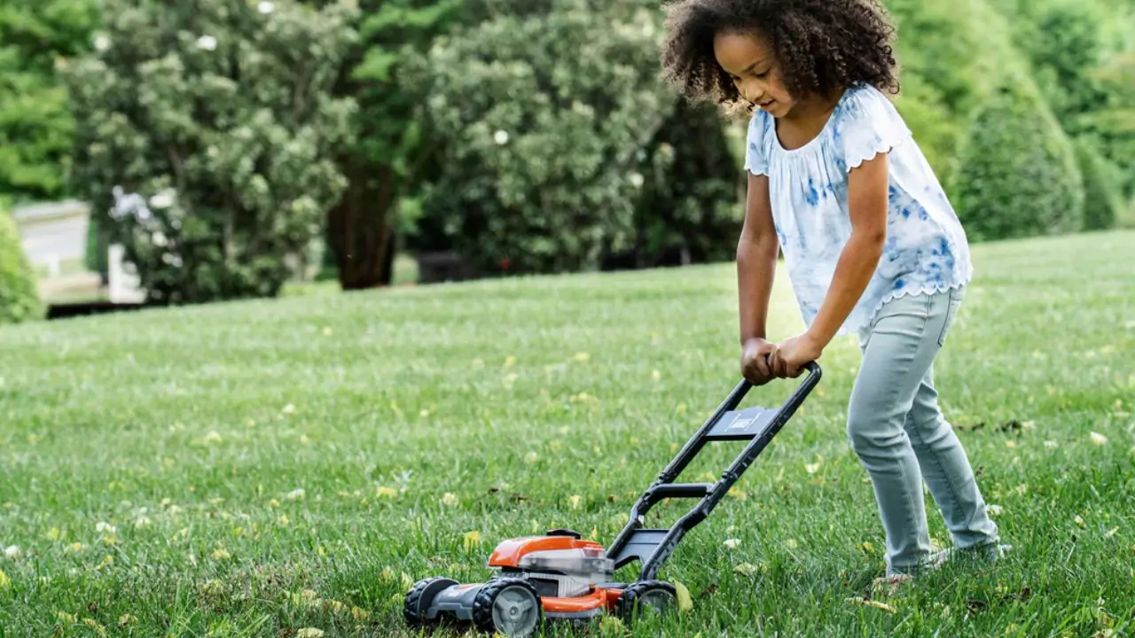 Is a Robotic Mower Worth It