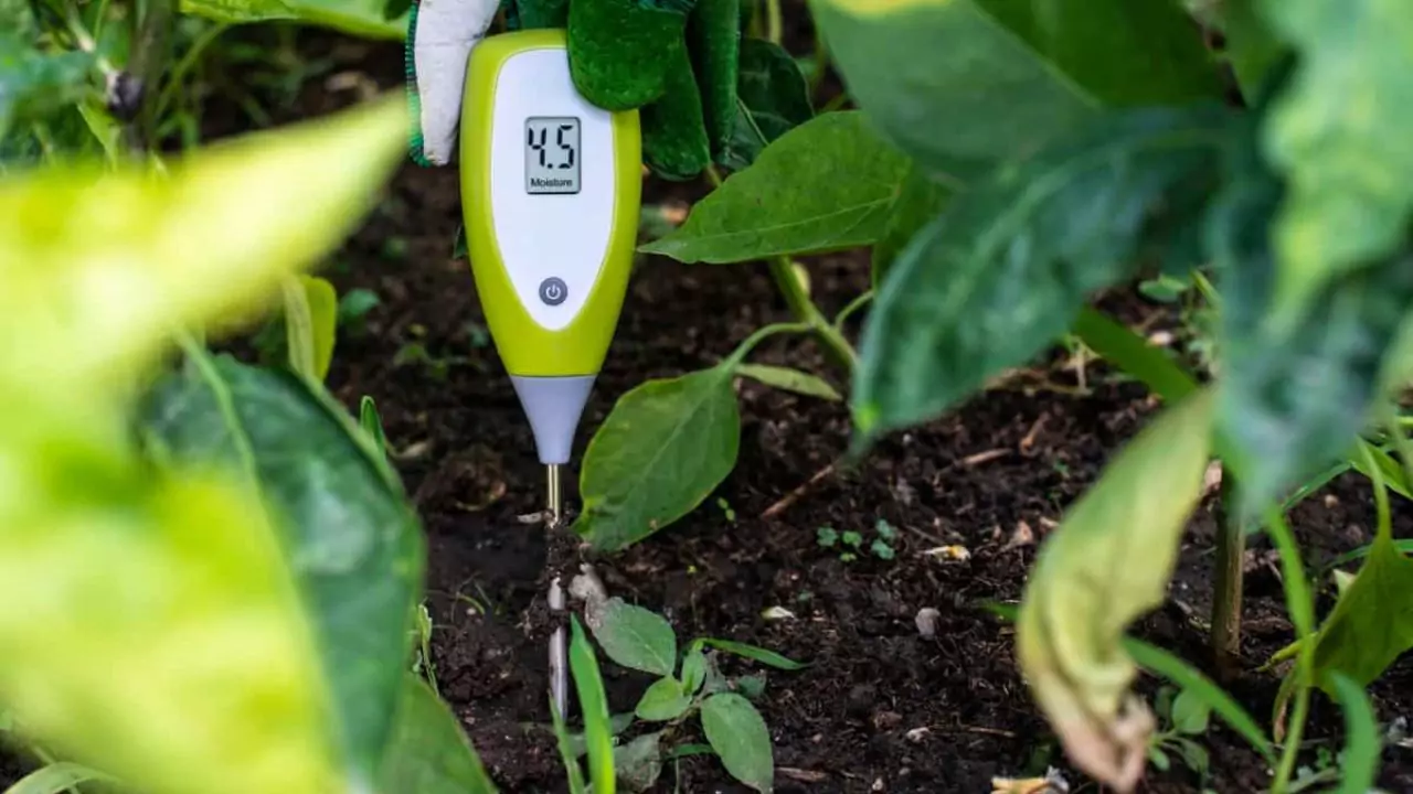 Soil Moisture Sensor – Complete Users Guide 3 soil sensor