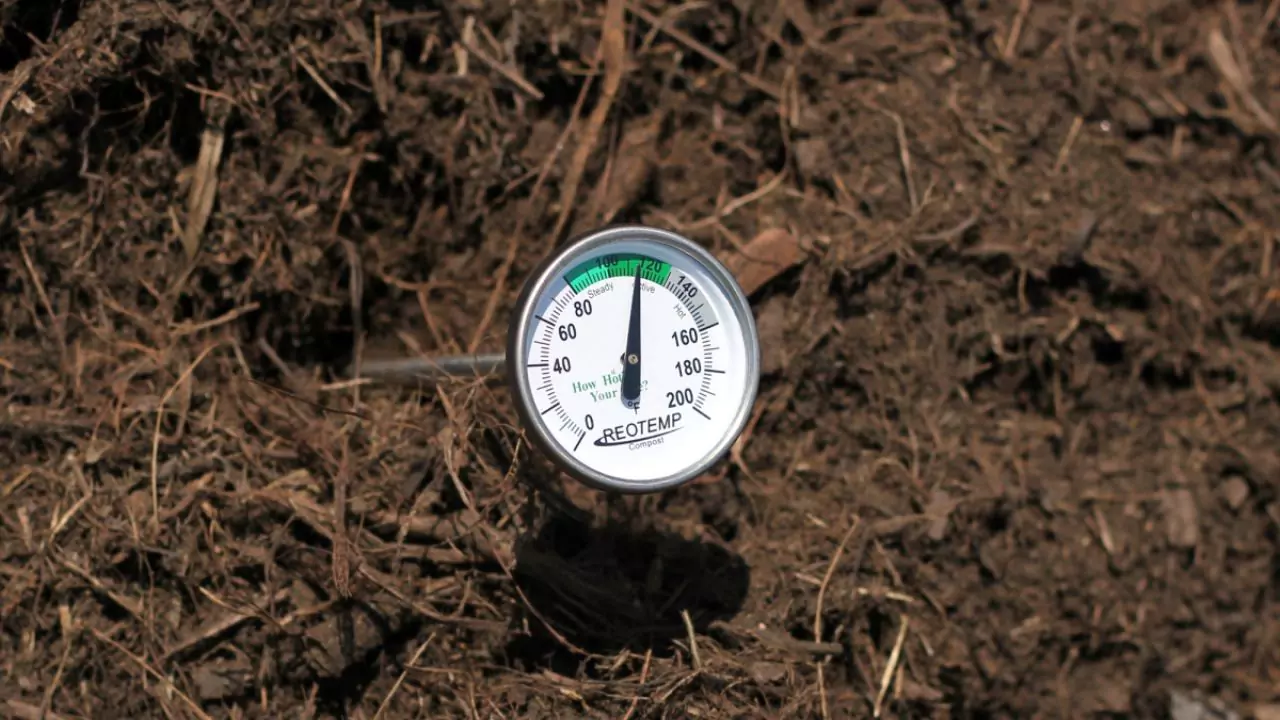 Compost Tumbler Not Heating Up? Why and Solutions 3 Adding good thermometer in compost