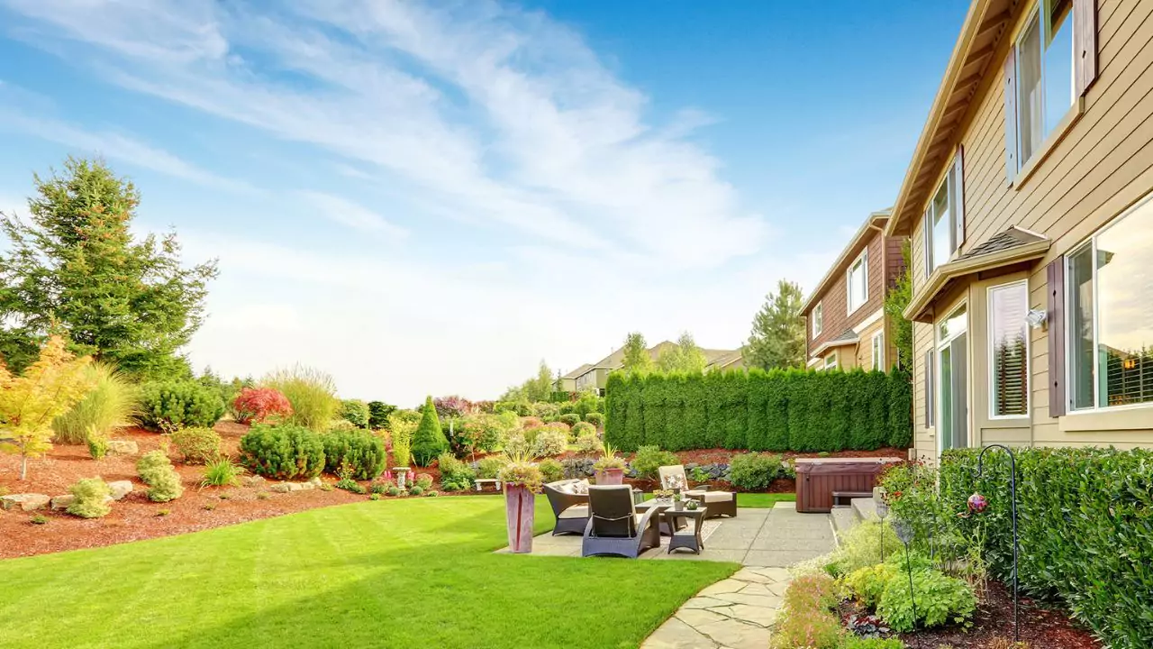 Best Lawn Care Service Near Me (UK Edition) 1 Backyard lawn