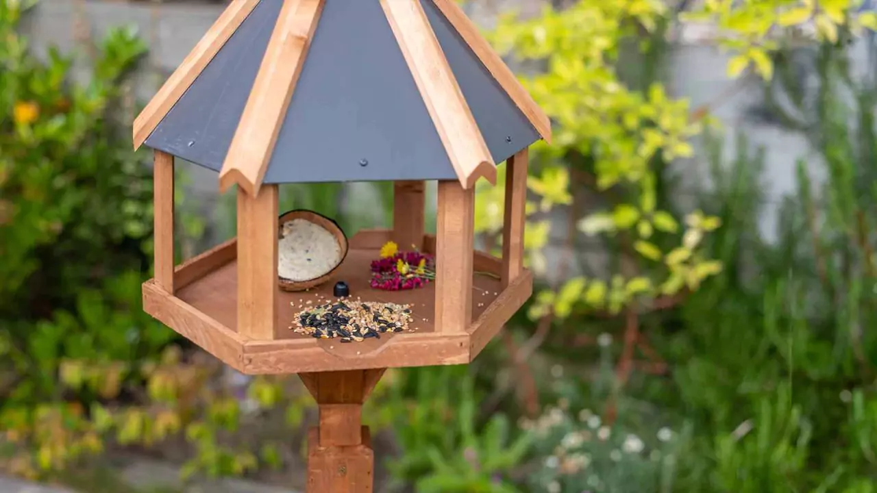 Bird table 1