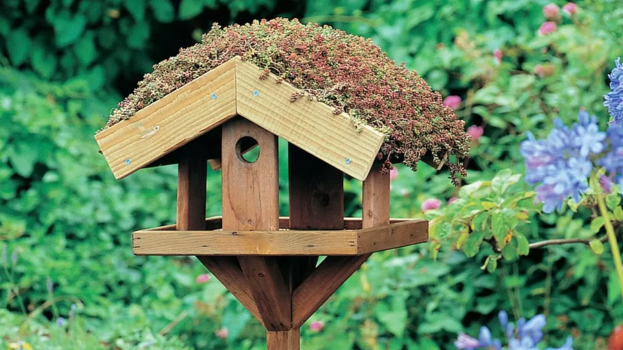 Bird table 3