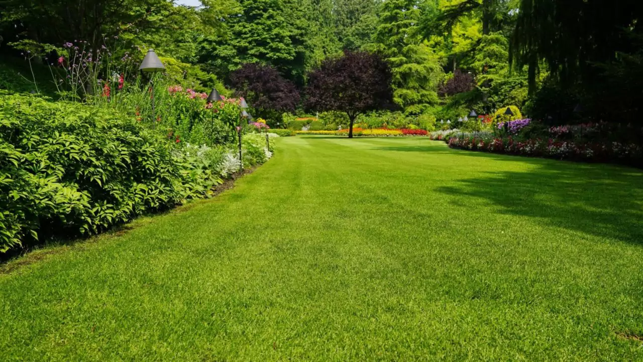 Best Lawn Care Service Near Me