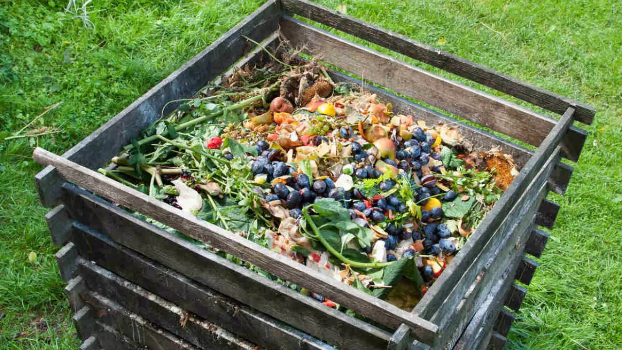 Compost bin 1