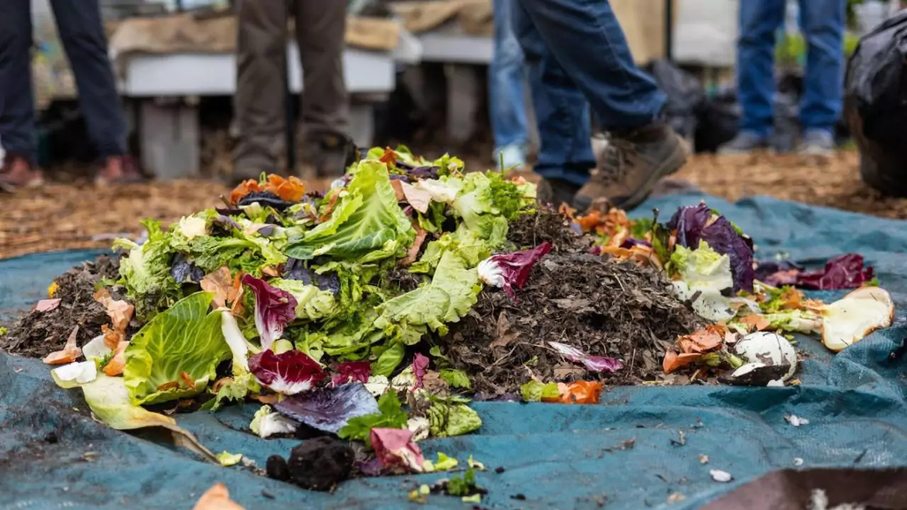 How to Harvest Compost In 7 Easy Steps 1 Compost tips