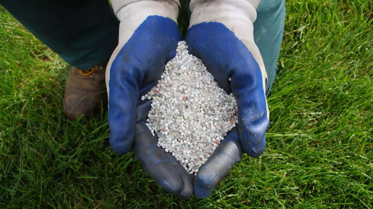 Best Lawn Care Service Near Me (UK Edition) 3 Dont skip using lawn fertilizer 1