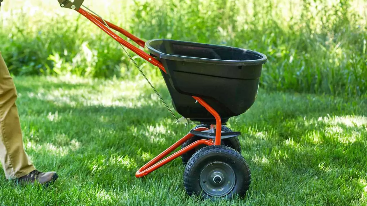 Best Lawn Care Service Near Me (UK Edition) 6 Dont skip using lawn fertilizer