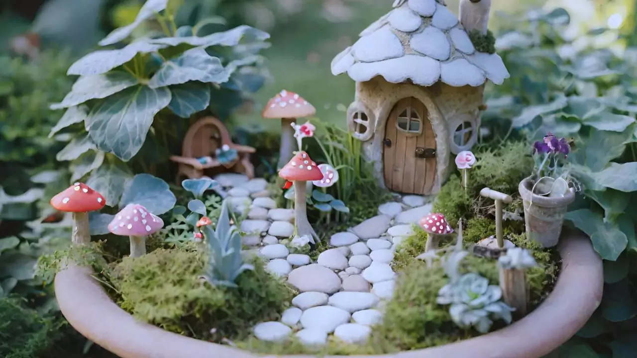 Fairy garden cost