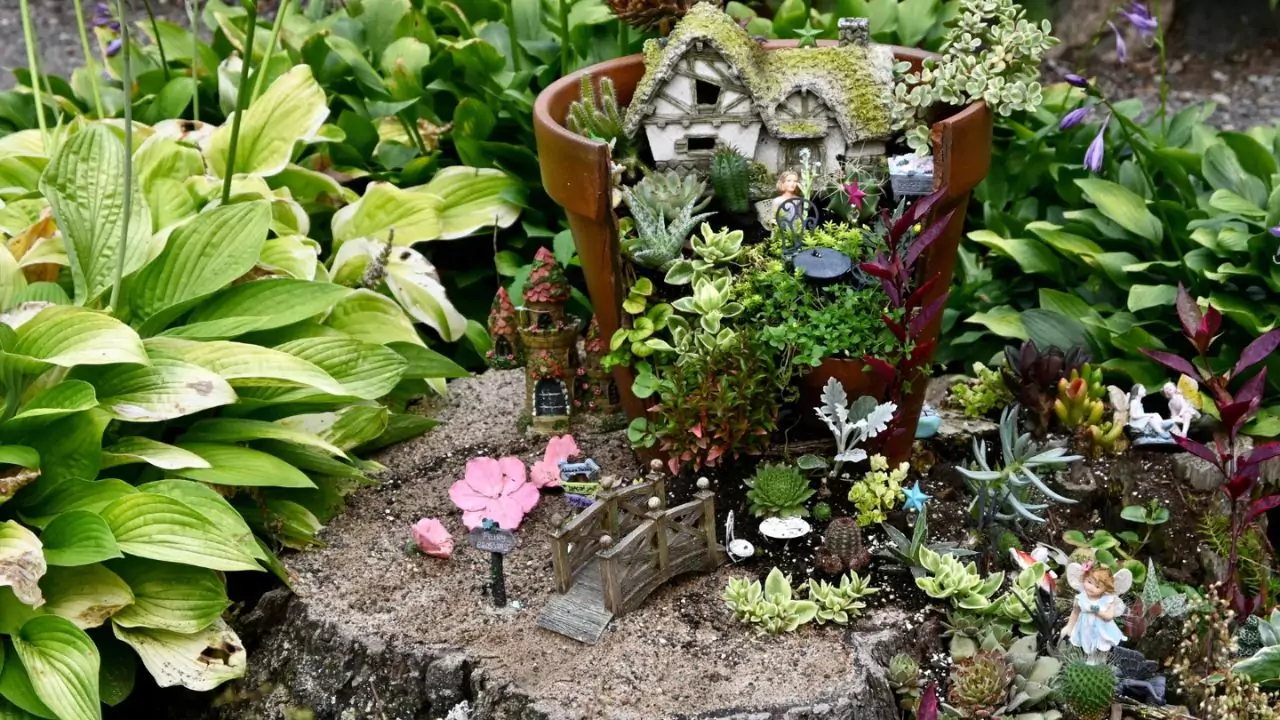Fairy garden maintenance guide