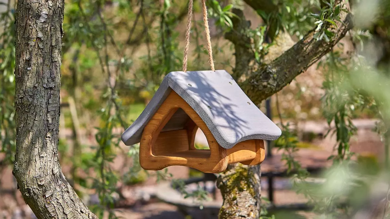 Hanging bird table