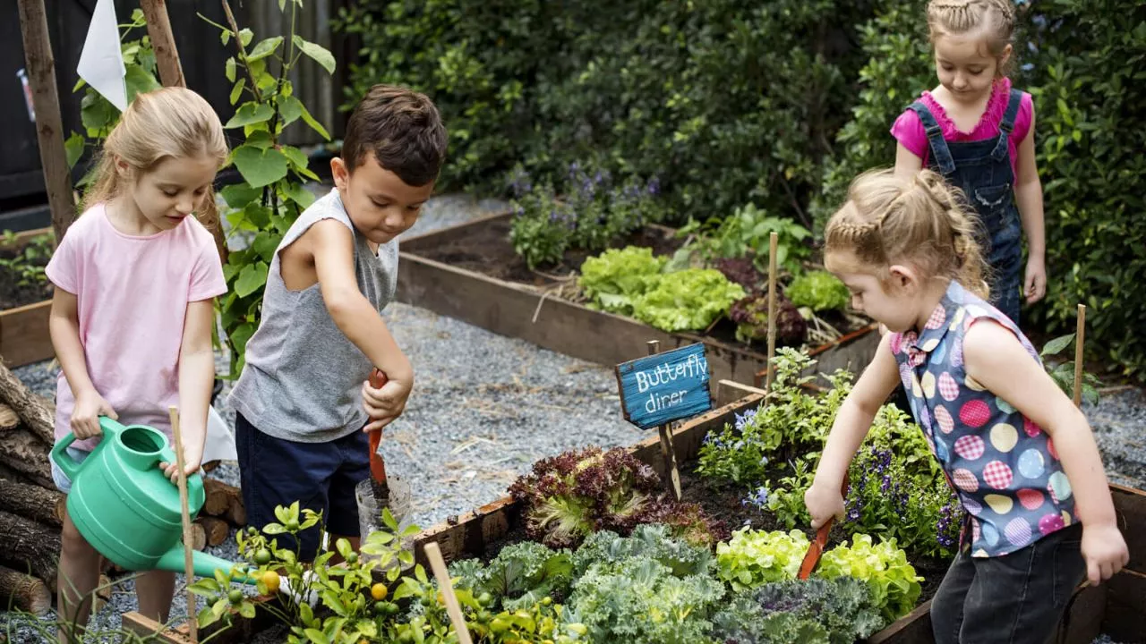 How To Create A Great Butterfly Garden With Ease 2 How To Create A Butterfly Garden With Ease