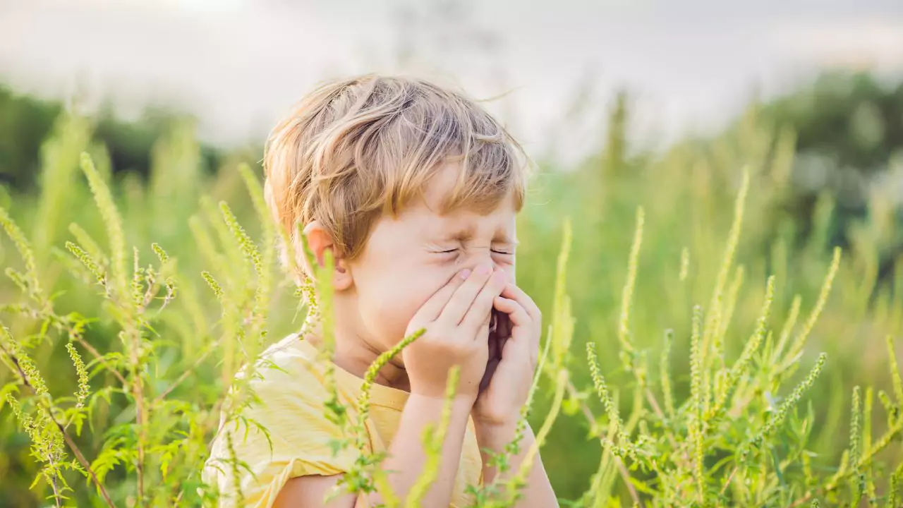 The Truth About Whether Or Not Pollen Is Bad For You