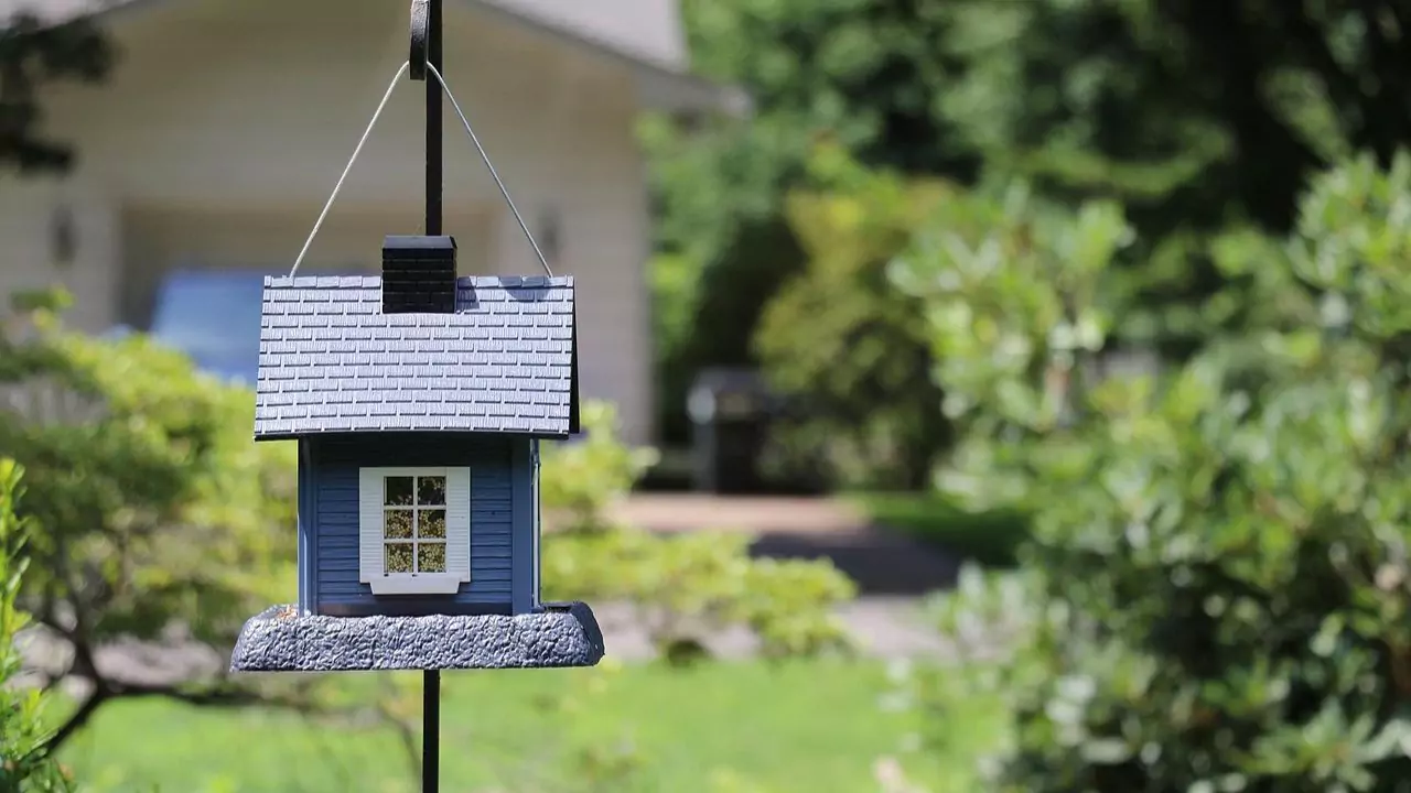 Mailbox Bird Table