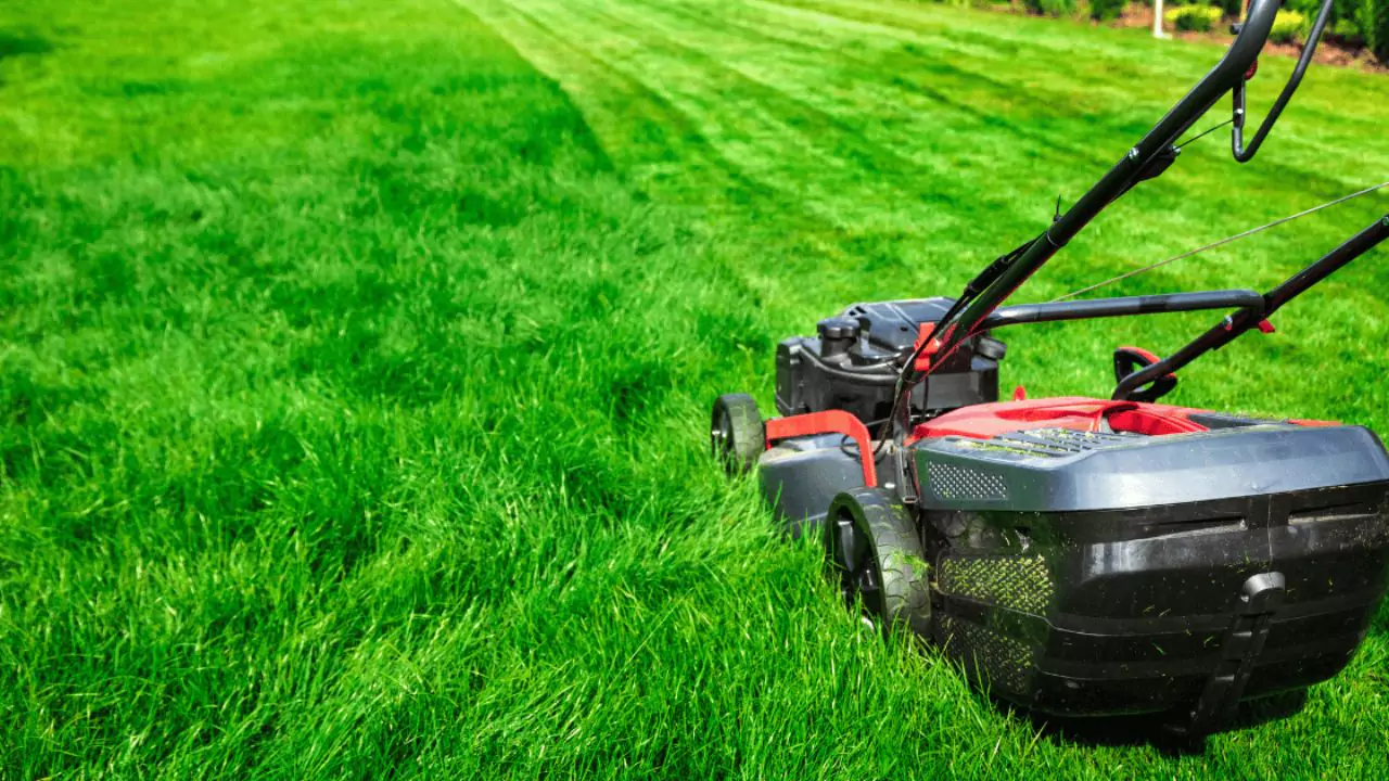 Best Lawn Care Service Near Me (UK Edition) 5 Mowing the lawn