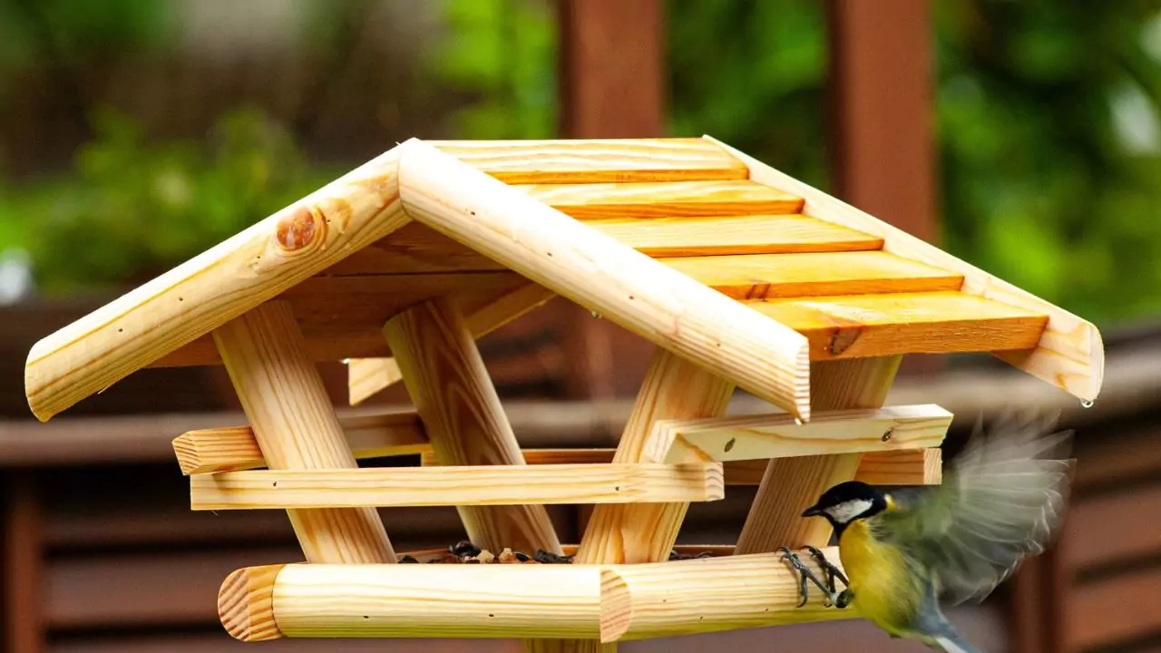 Multi level bird table