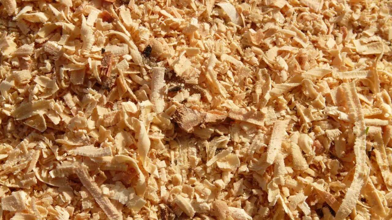 Compost Tumbler Not Heating Up? Why and Solutions 2 Sawdust perfect for compost 1