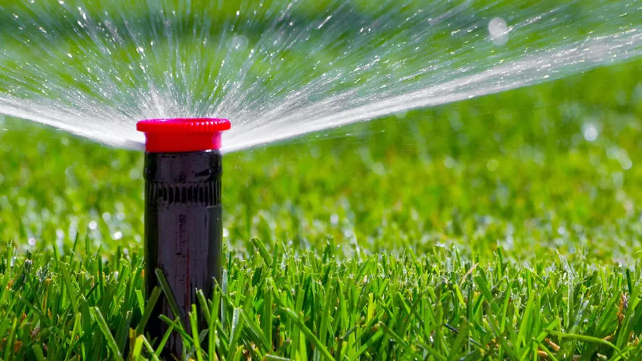 Best Lawn Care Service Near Me (UK Edition) 2 Sprinkler types