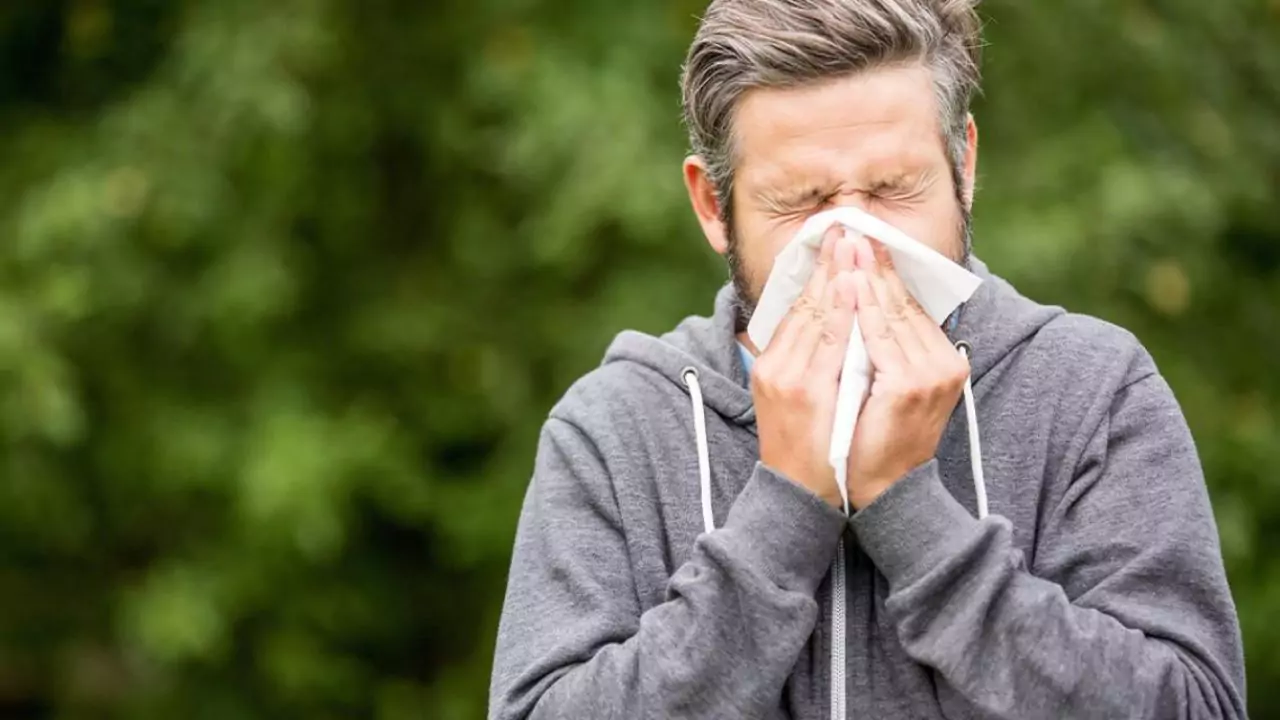 What To Do When Pollen Season Starts