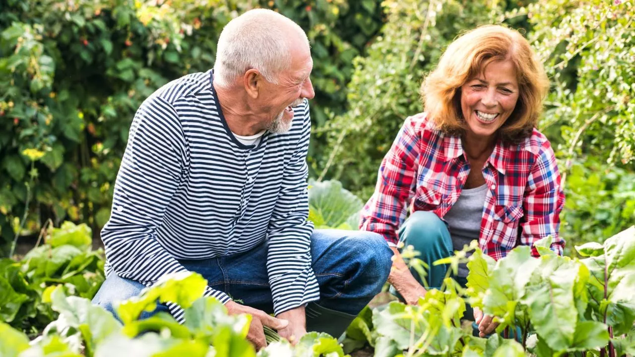 Gardens benefit all life