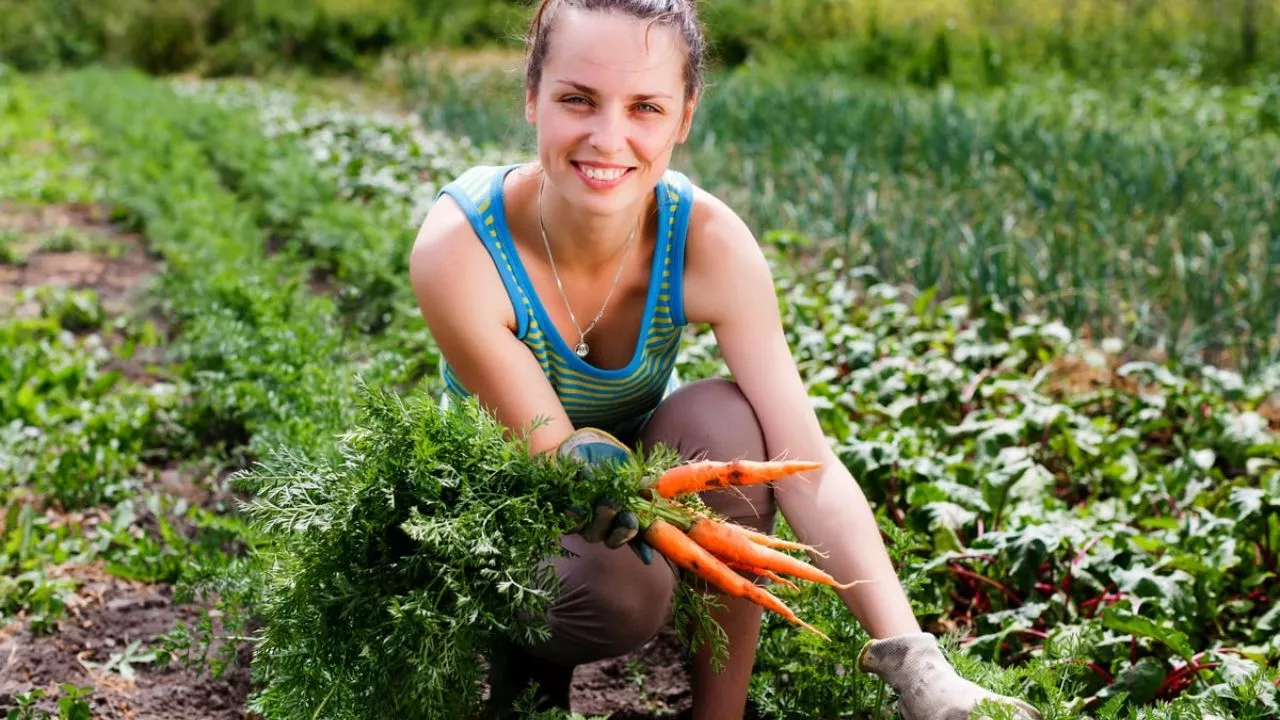 The Learning Curve Can Be Steep