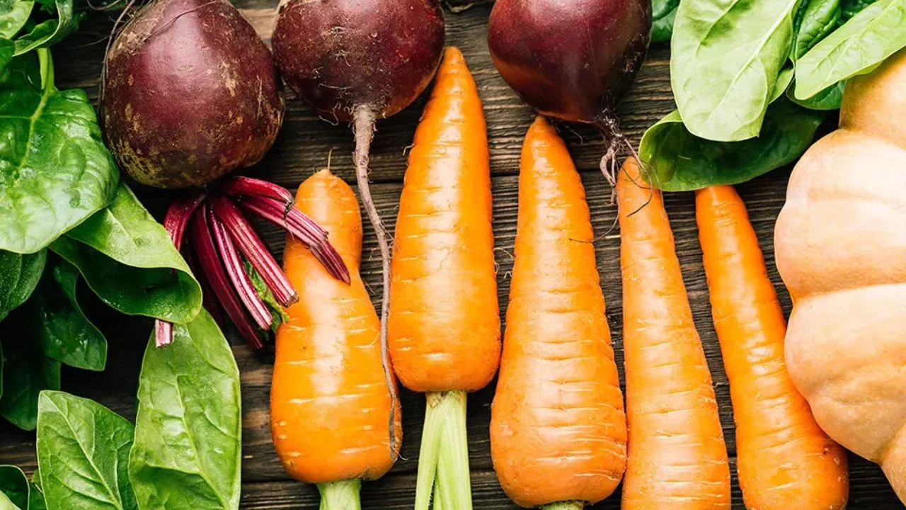 Are Vegetable Gardens Worth It